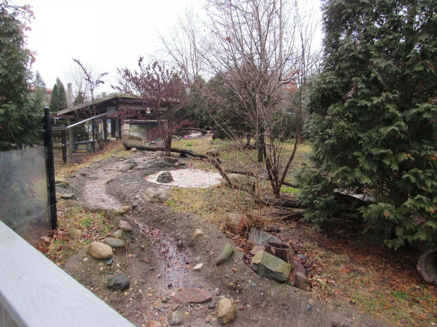 North American River Otter Exhibit