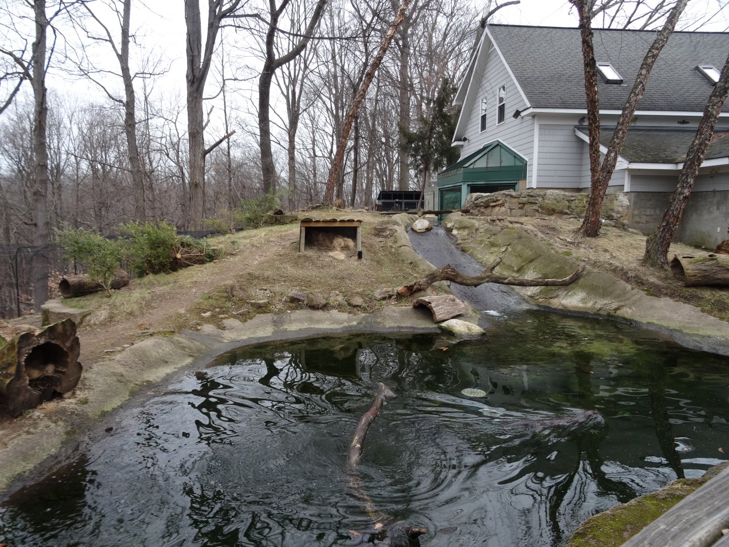 North American River Otter Exhibit
