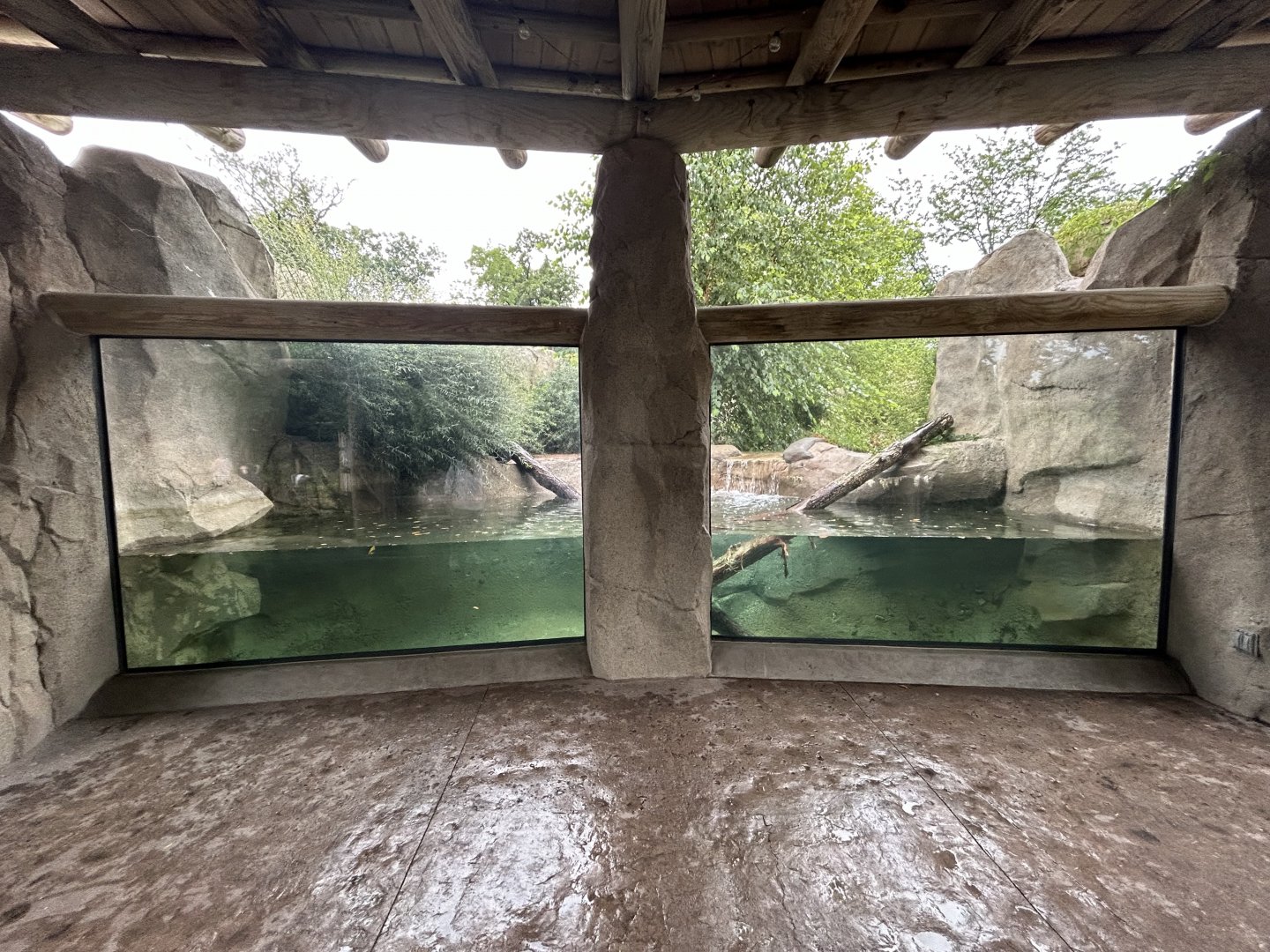 North American River Otter Exhibit