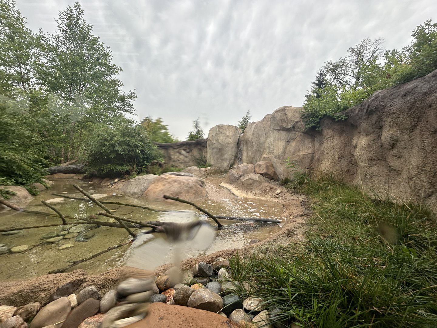 North American River Otter Exhibit