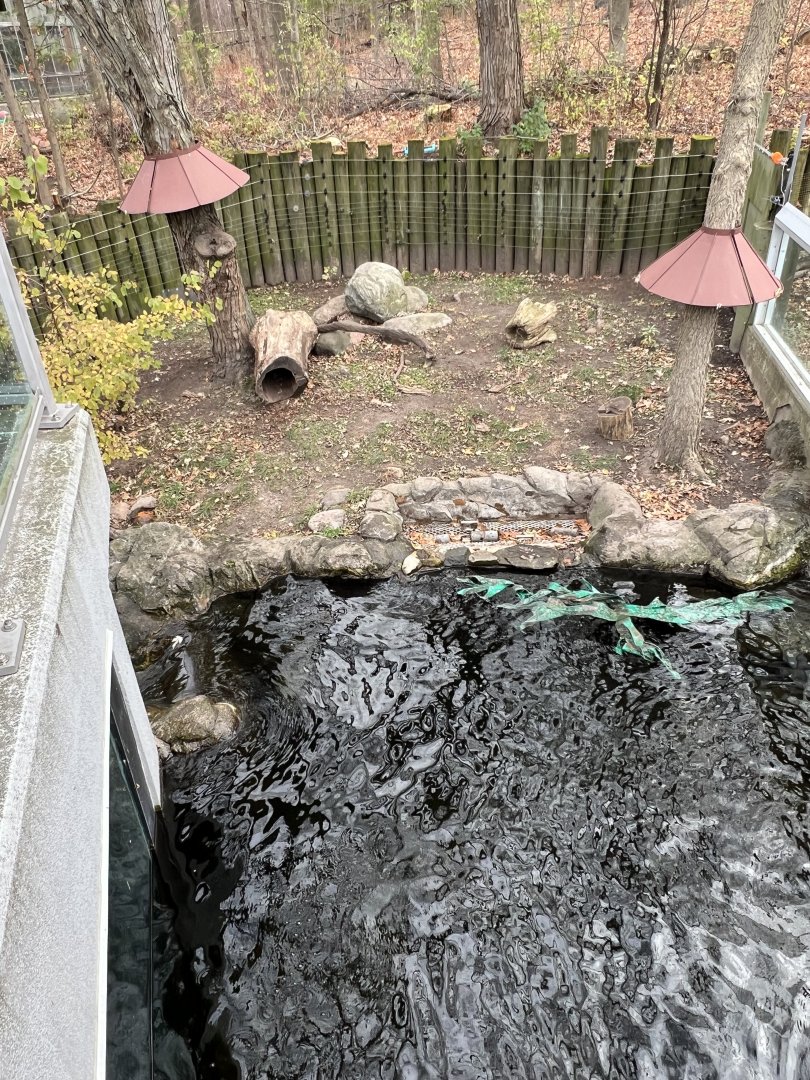 North American River Otter Exhibit