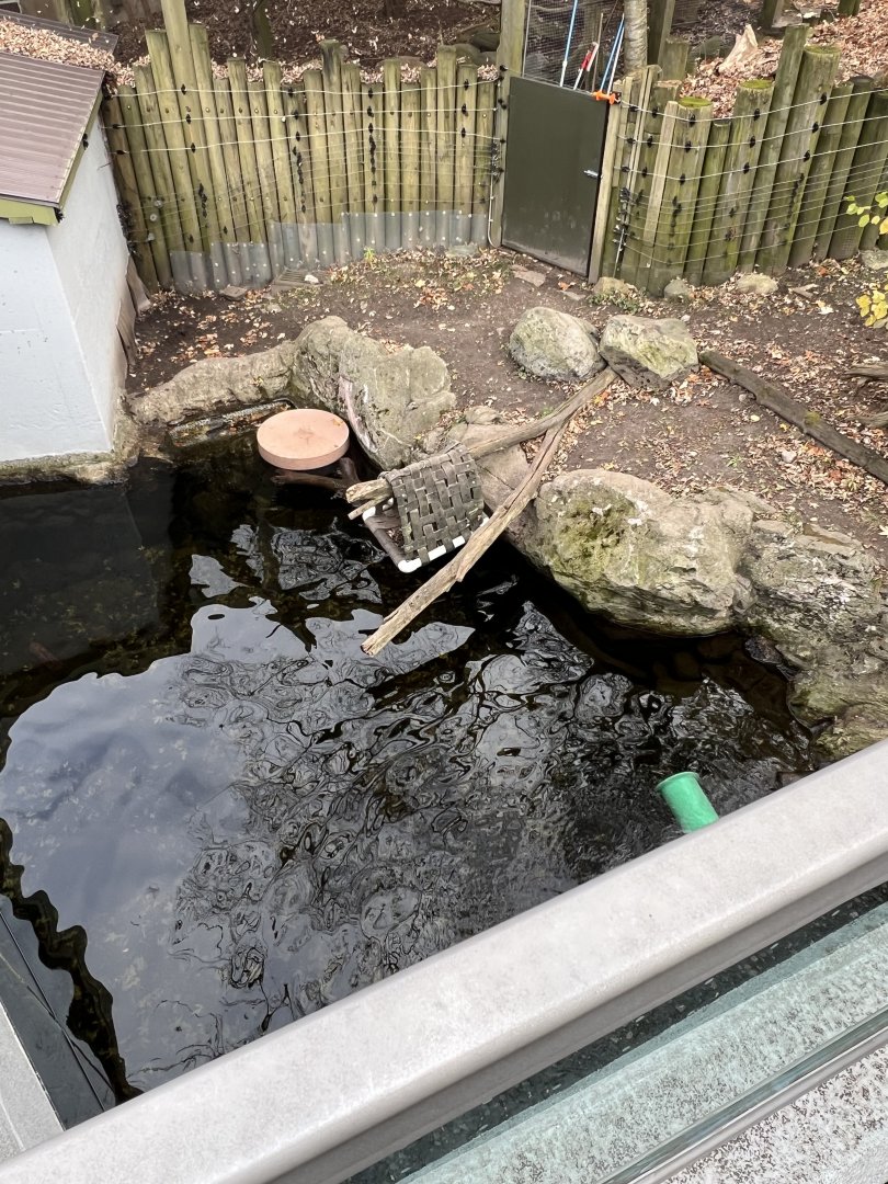 North American River Otter Exhibit