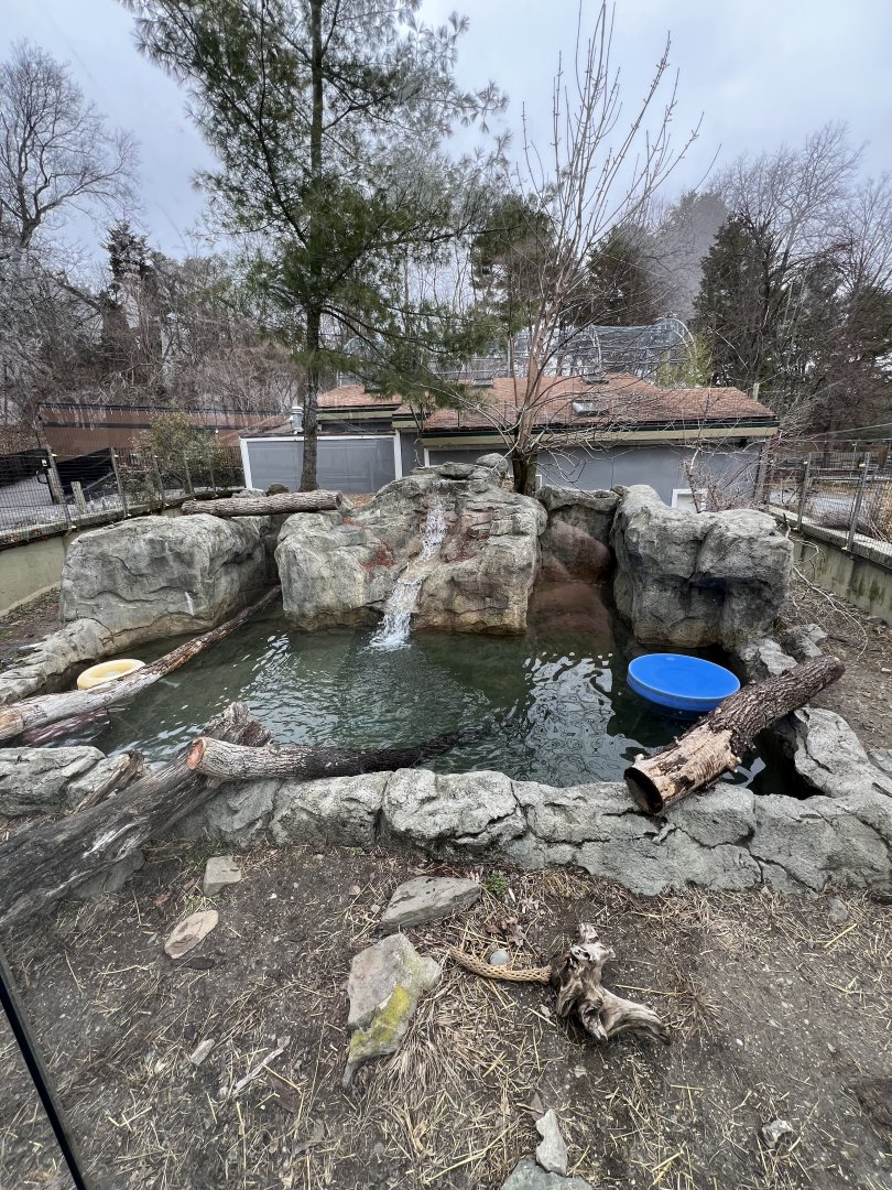 North American River Otter Exhibit
