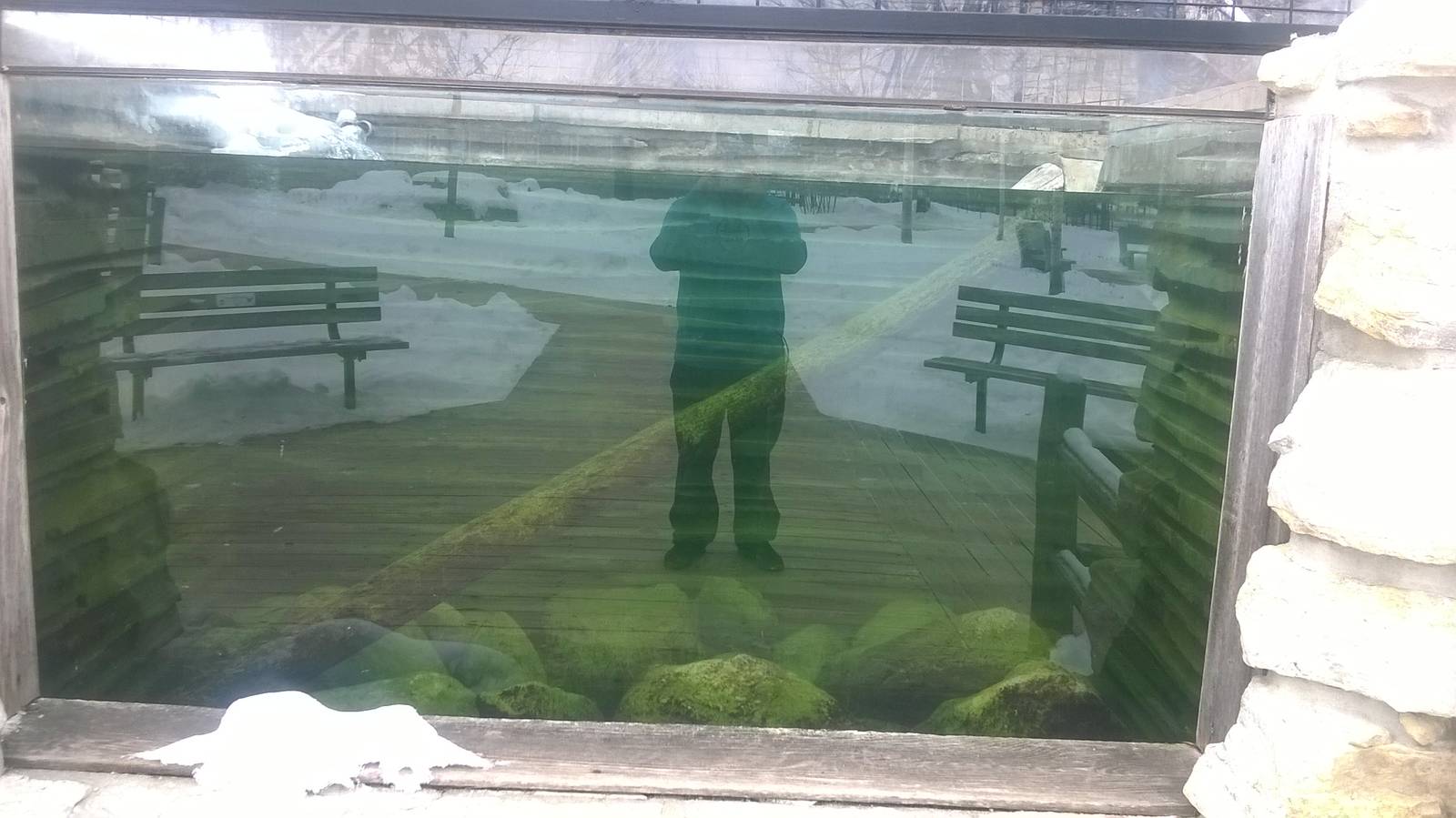 North American River Otter Pool