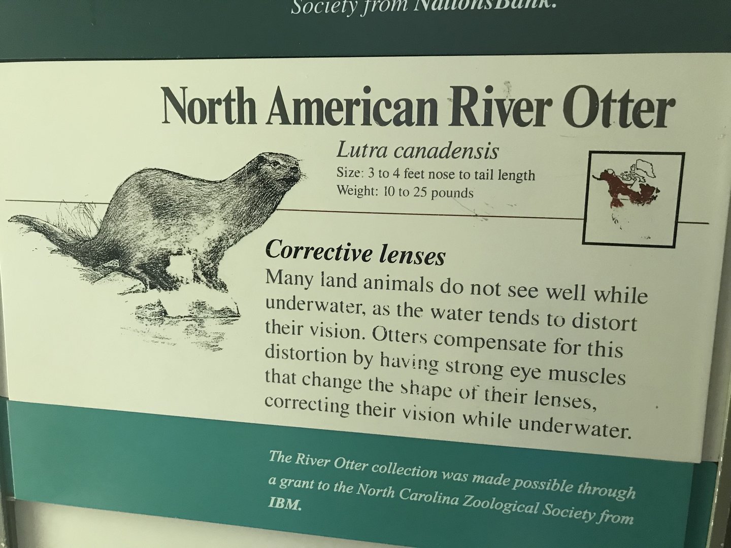 North American River Otter Sign