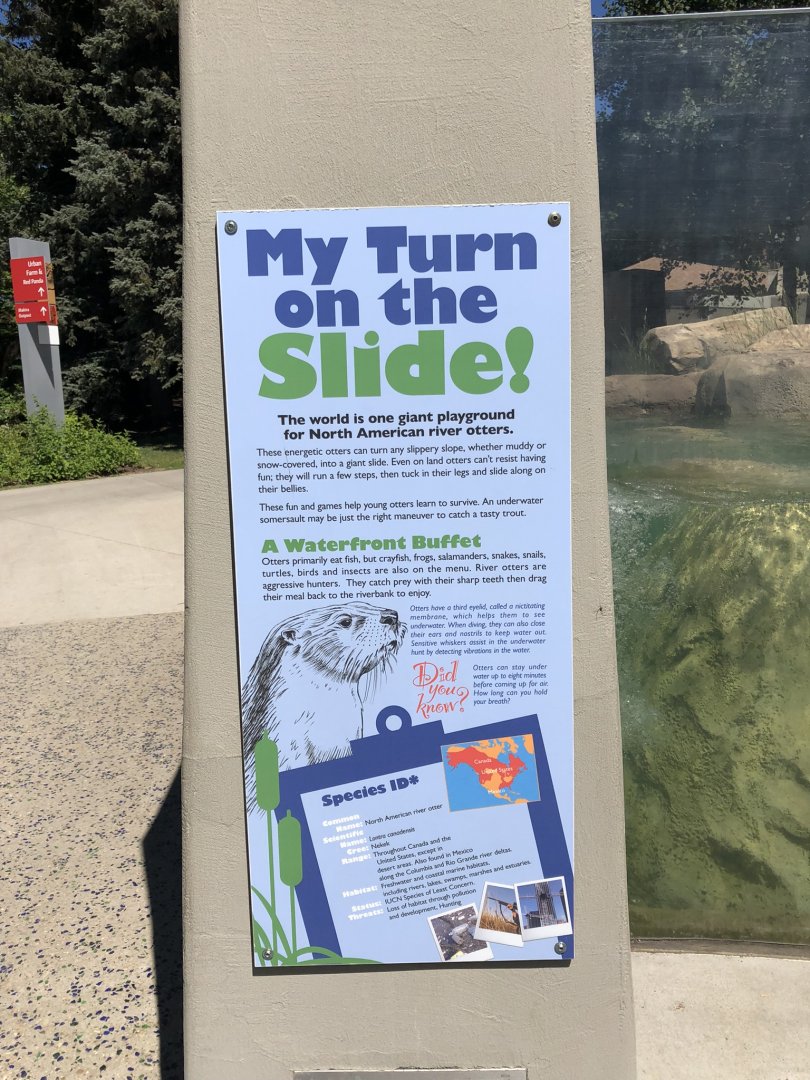North American River Otter Signage at Edmonton Valley Zoo (July 2022)