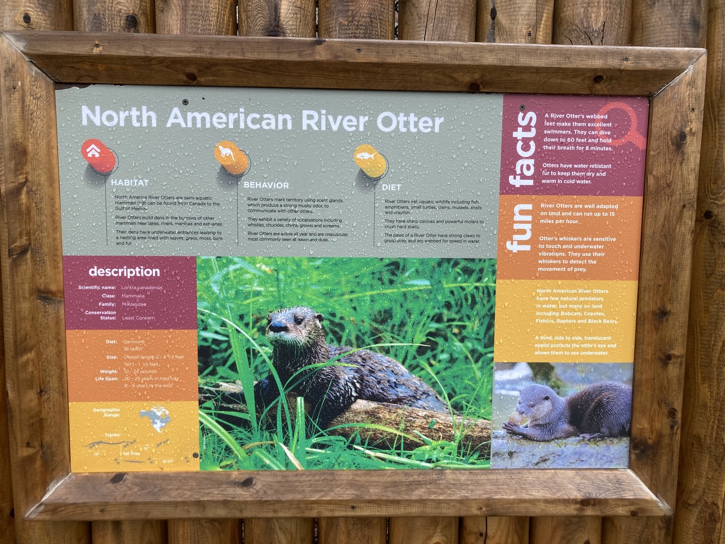 North American River Otter Signage