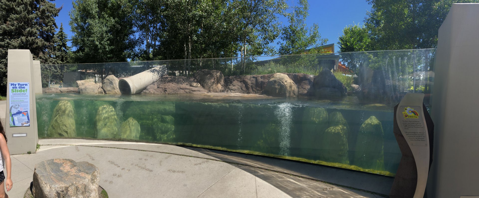 North American River Otter Underwater Viewing at Edmonton Valley Zoo (July 2022)