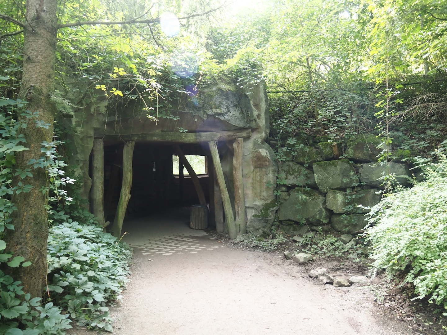North American river otter viewing area, 2024-08-05