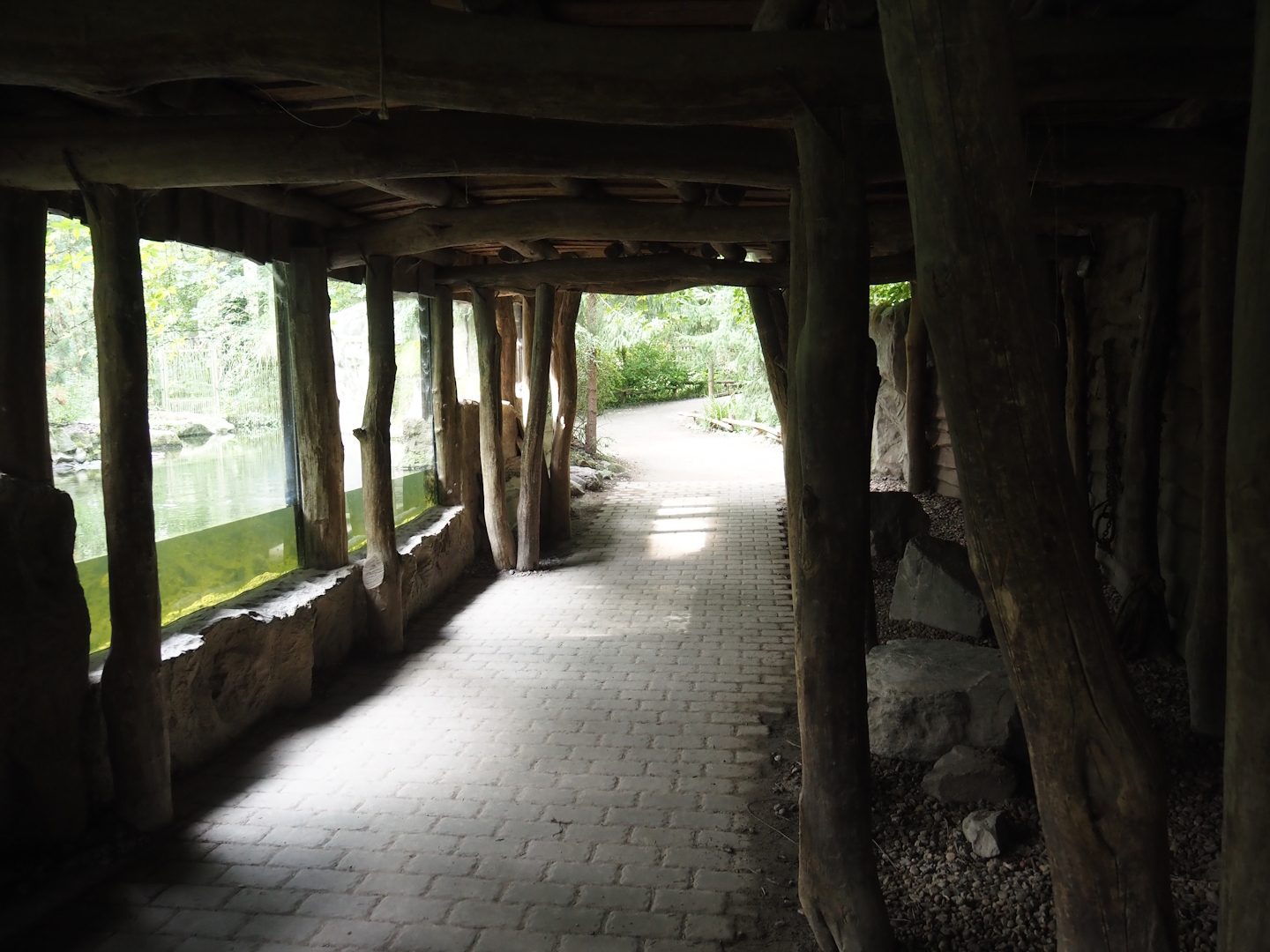 North American river otter viewing area, 2024-08-05
