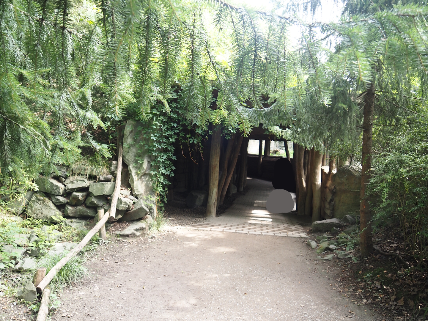 North American river otter viewing area, 2024-08-05