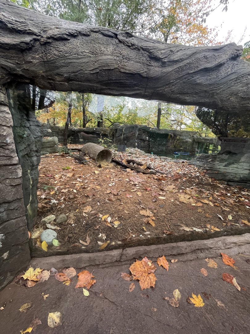 North American River Otter Viewing