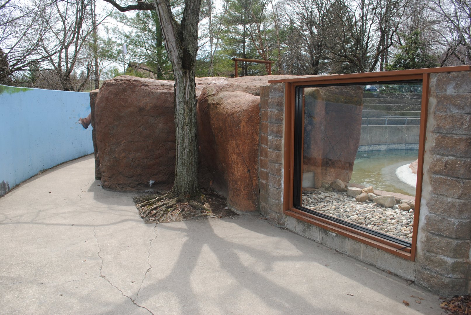North American River Otter's Exhibit (viewing window)