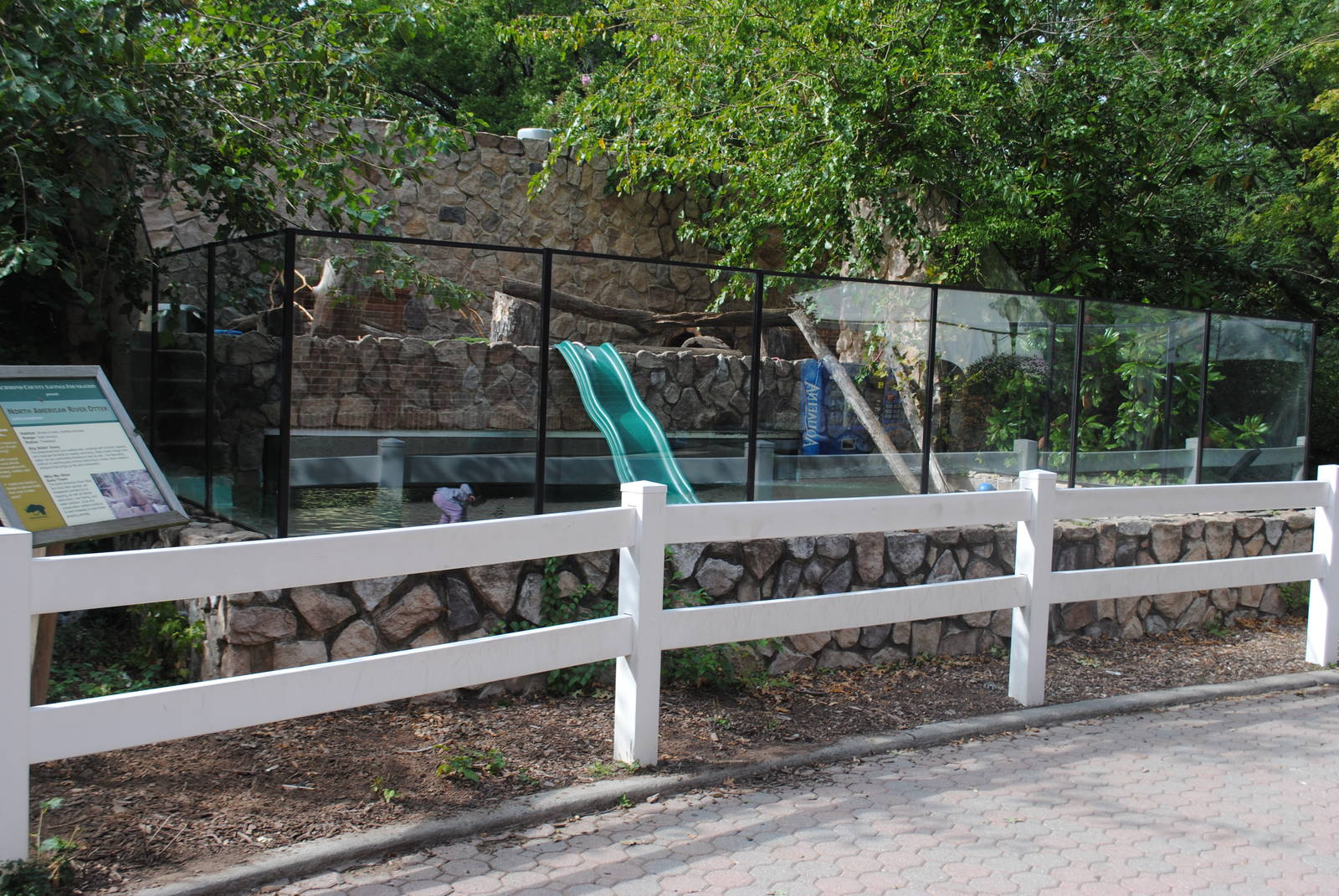 North American River Otters exhibit