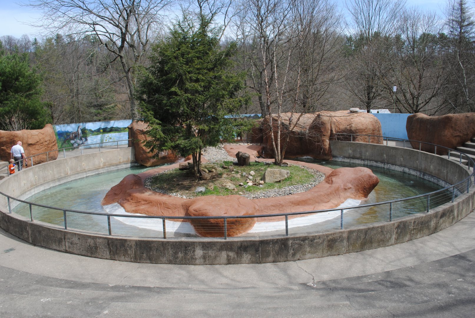 North American River Otter's Exhibit
