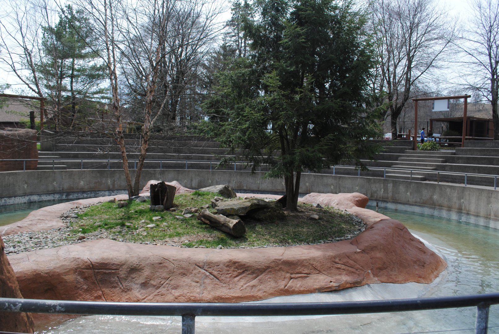 North American River Otter's Exhibit