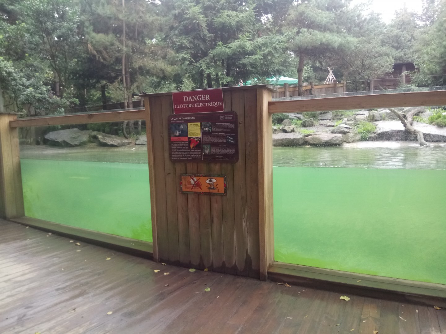 North American River Otters Exhibit