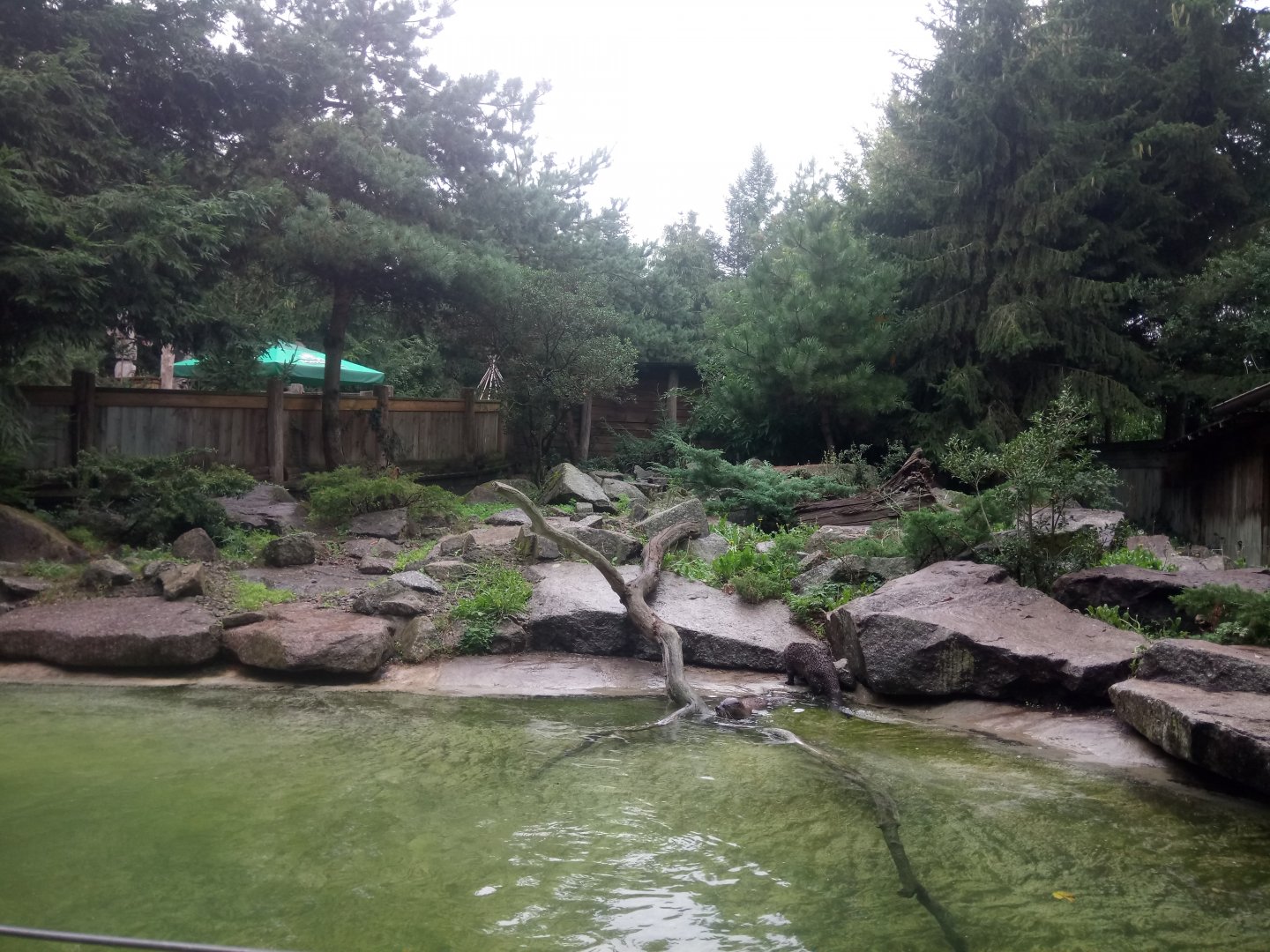 North American River Otters Exhibit