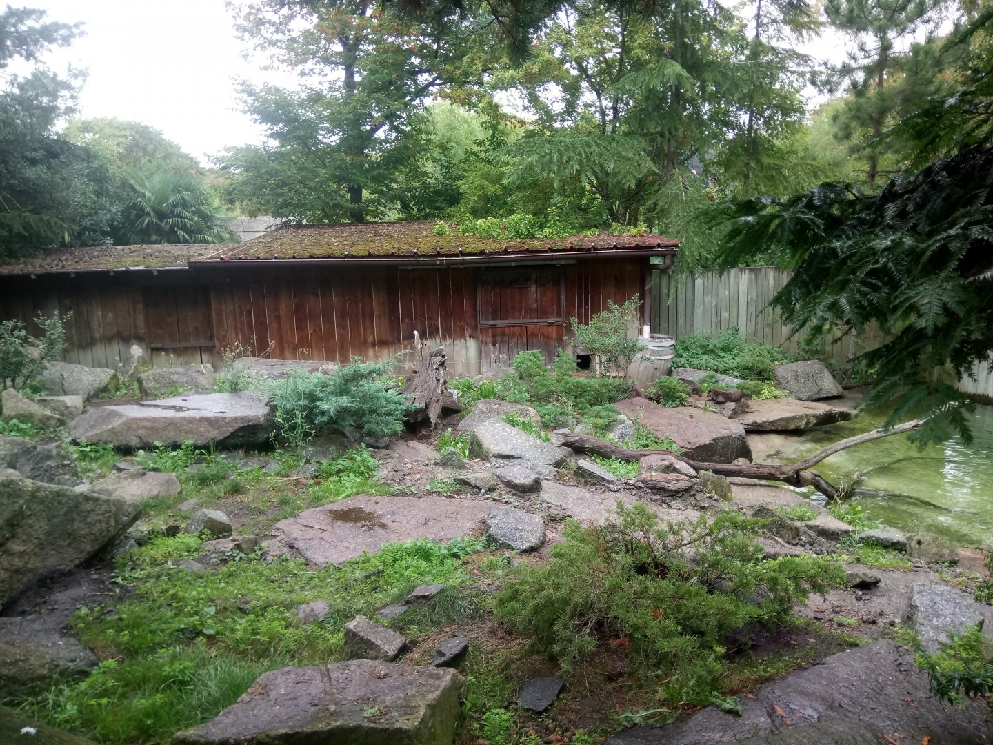 North American River Otters Exhibit