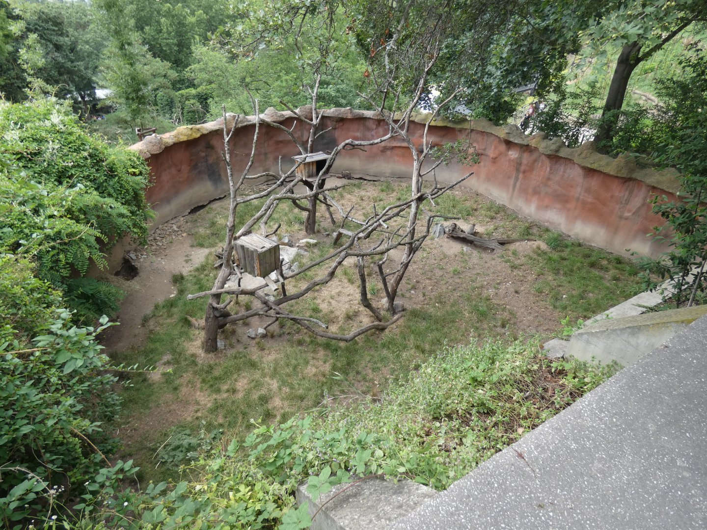 North American Tree Porcupine and Woodchuck enclosure