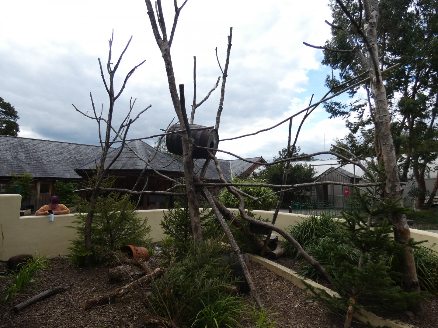 North American Tree Porcupine enclosure
