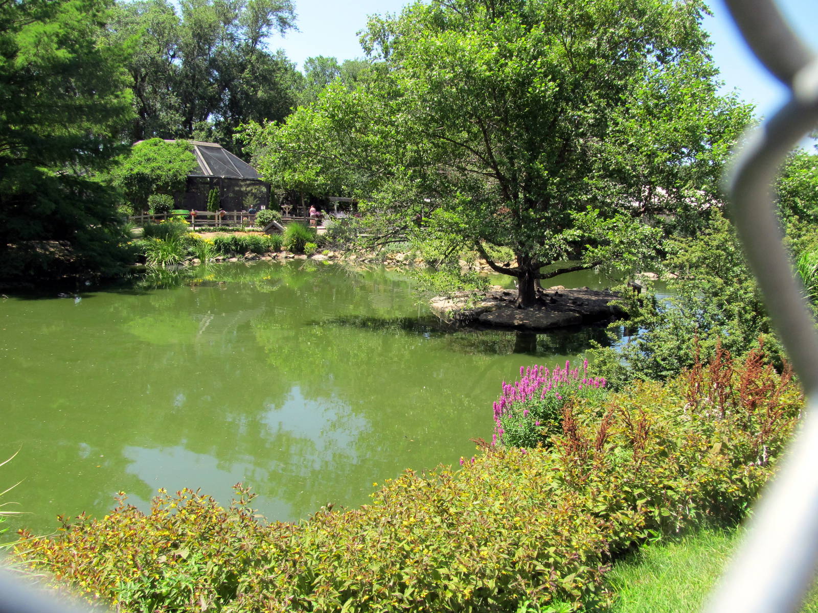North American Waterfowl Exhibit