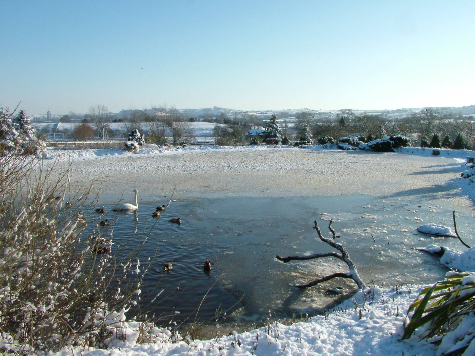 North American Waterfowl Lake, Blackbrook in the Snow, 03/01/10