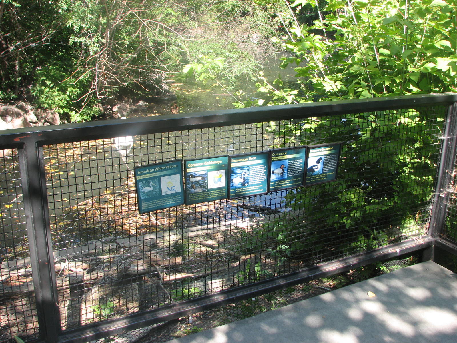 North American Waterfowl Ponds