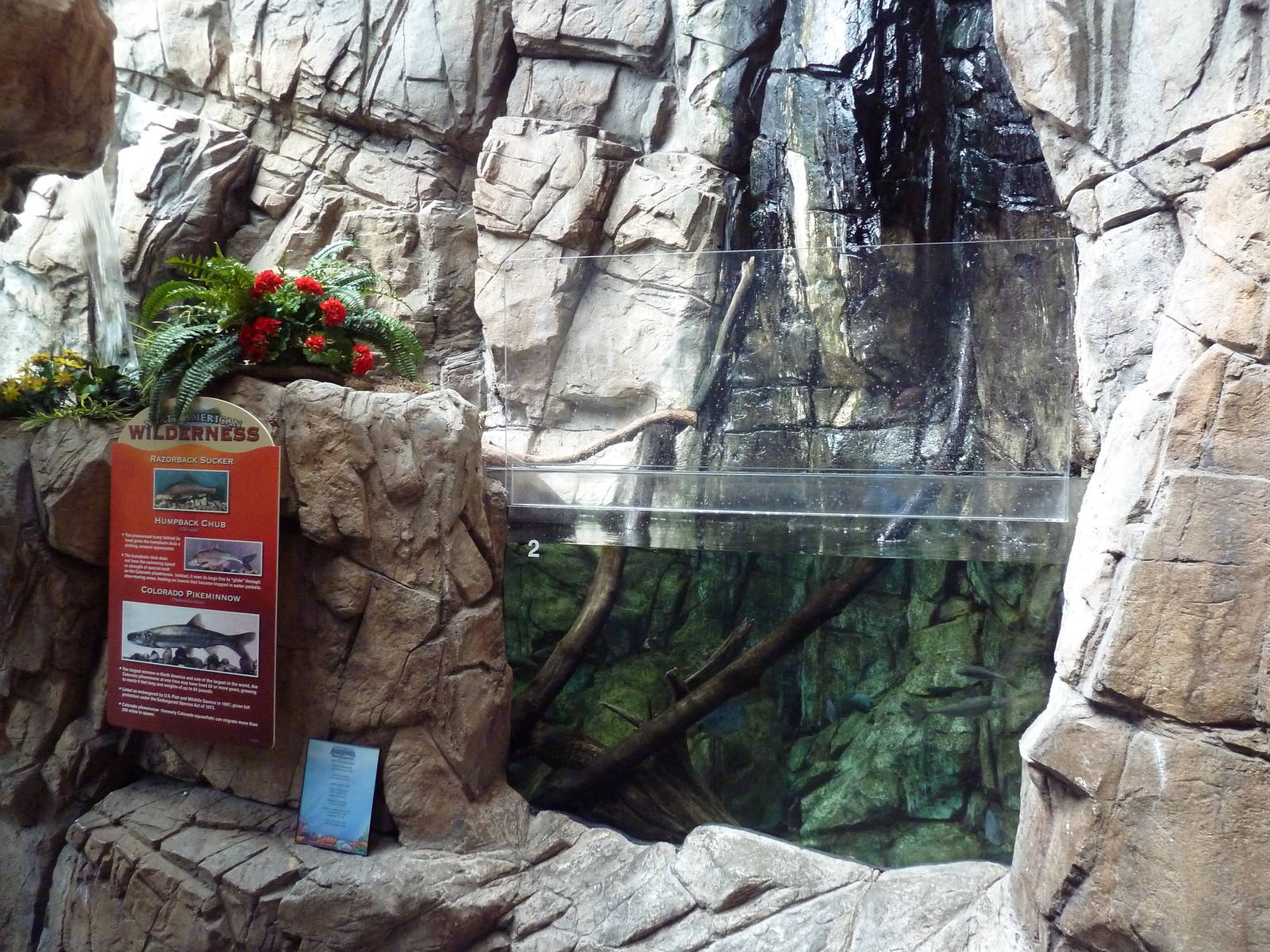 North American Wilderness