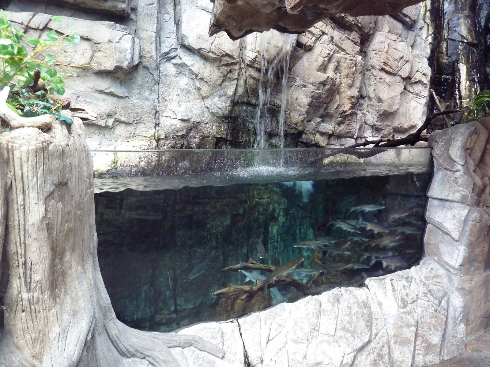 North American Wilderness