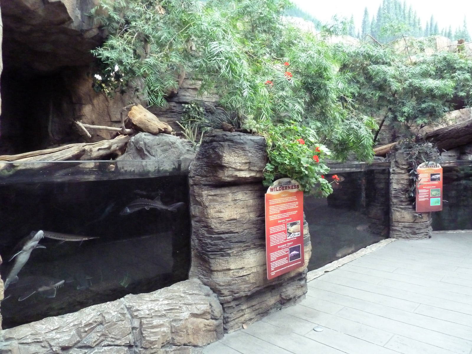 North American Wilderness