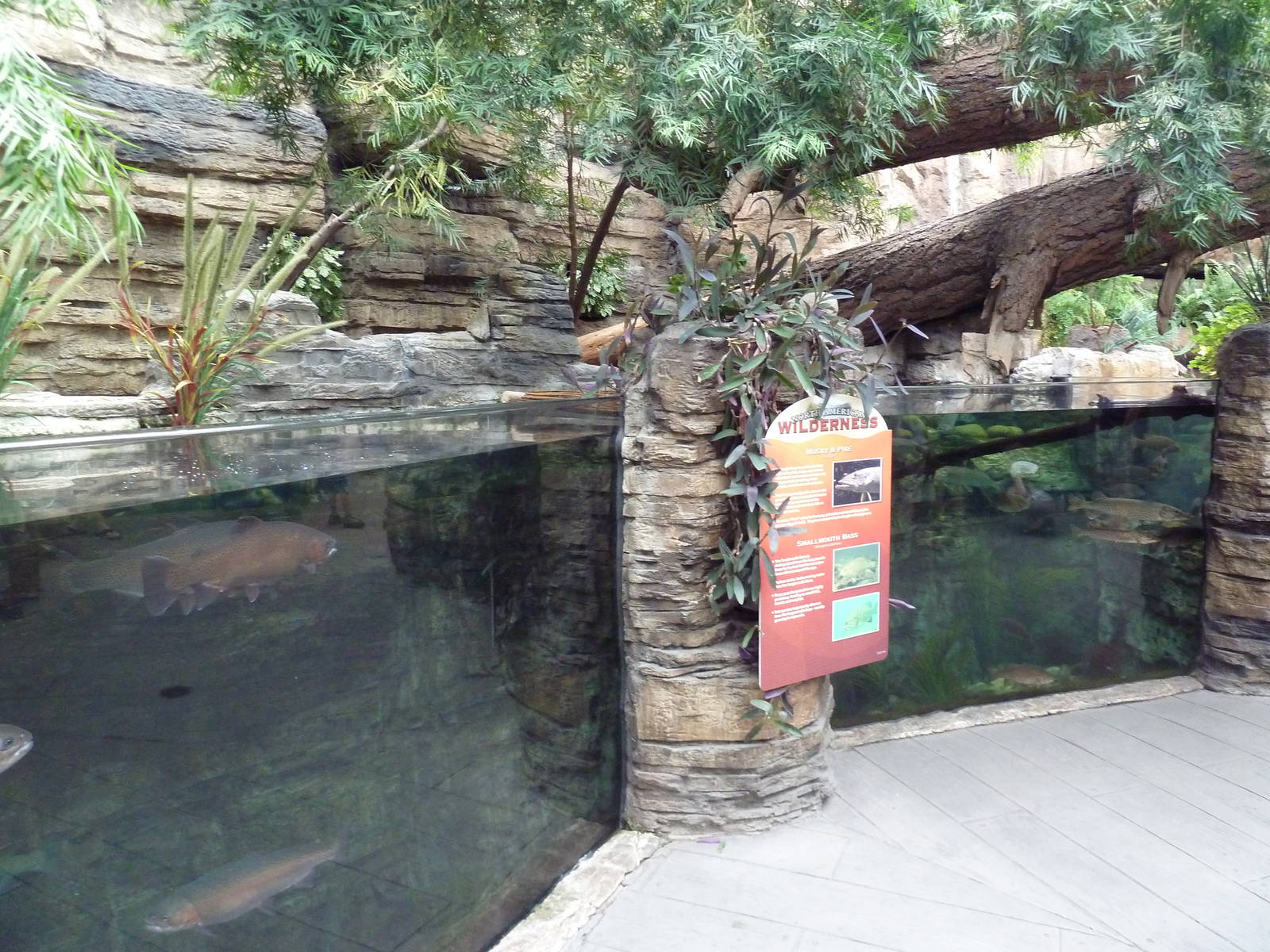 North American Wilderness