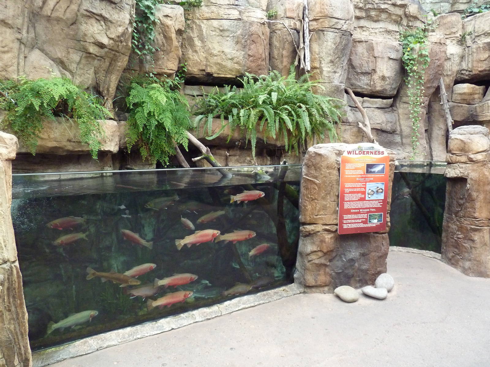 North American Wilderness