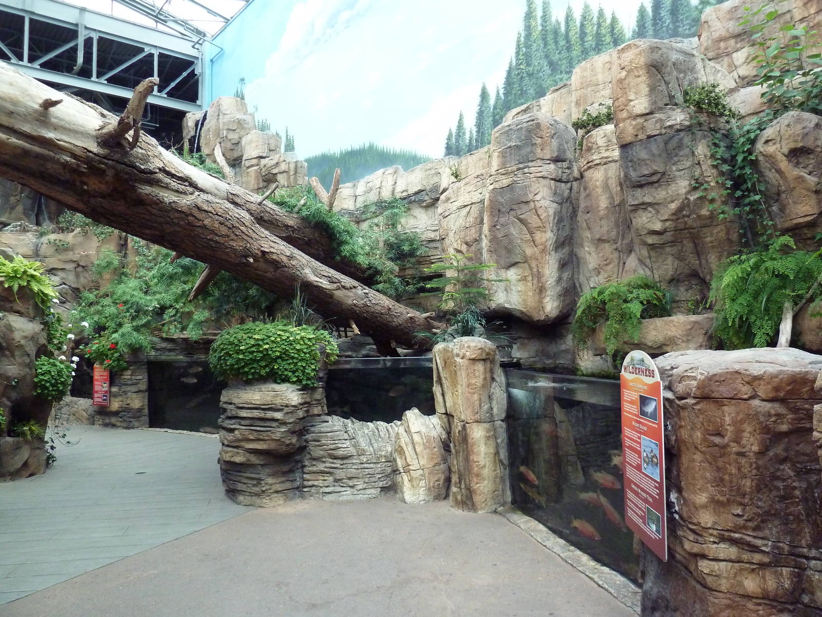 North American Wilderness