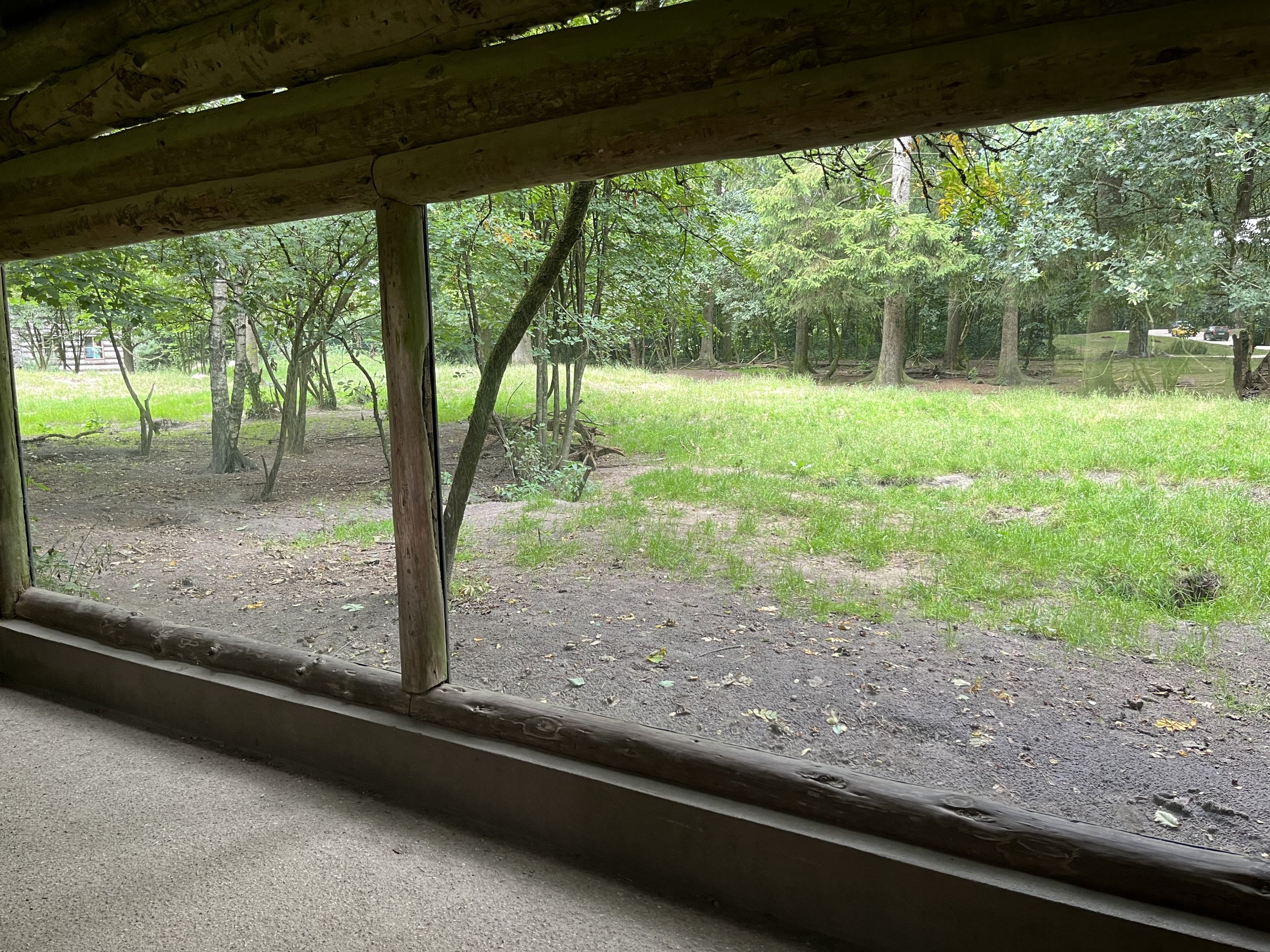 North American Wolf Exhibit
