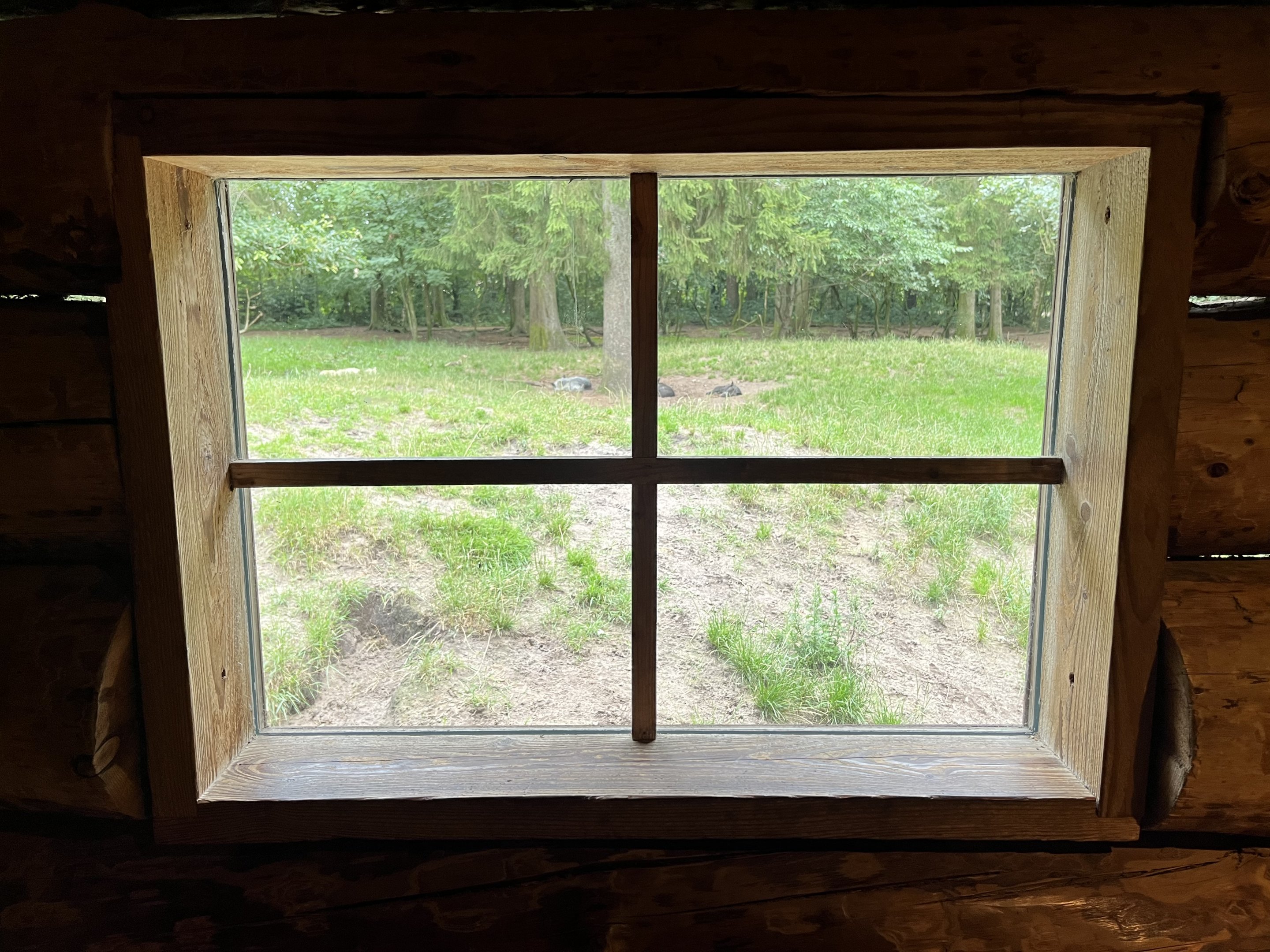 North American Wolf Exhibit