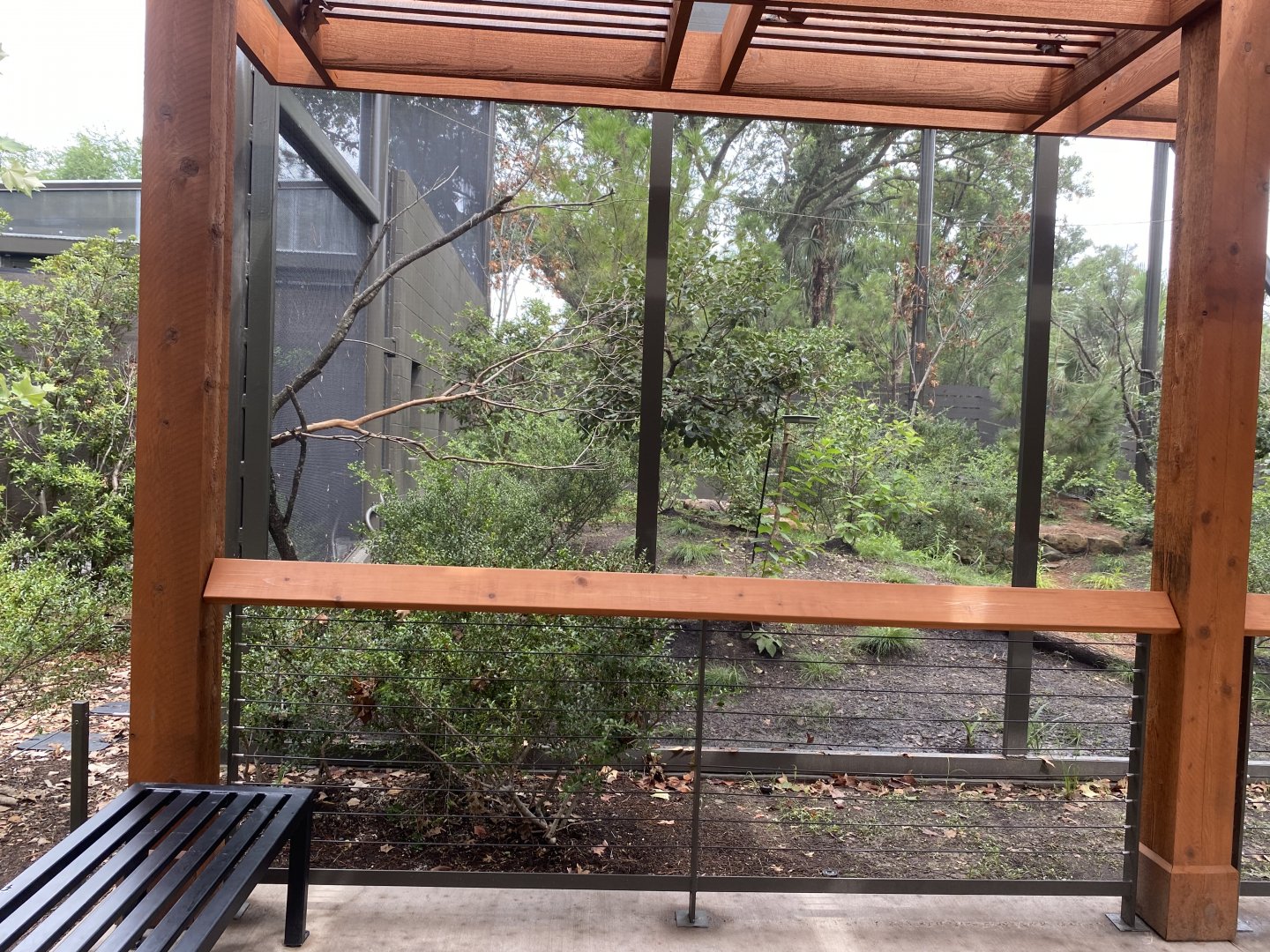 North American Woodlands Aviary