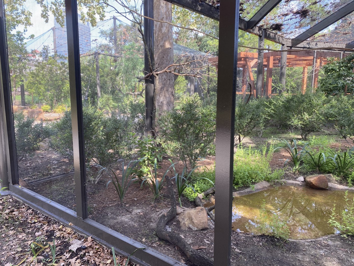 North American Woodlands Aviary