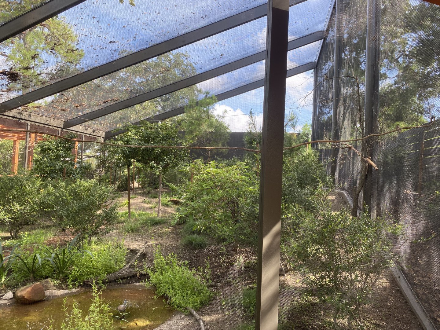 North American Woodlands Aviary