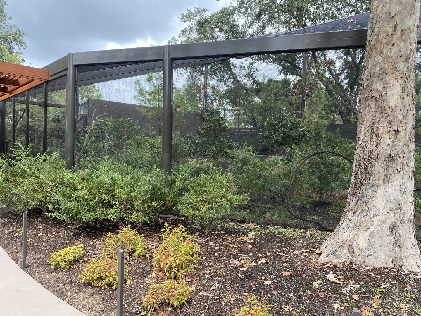 North American Woodlands Aviary