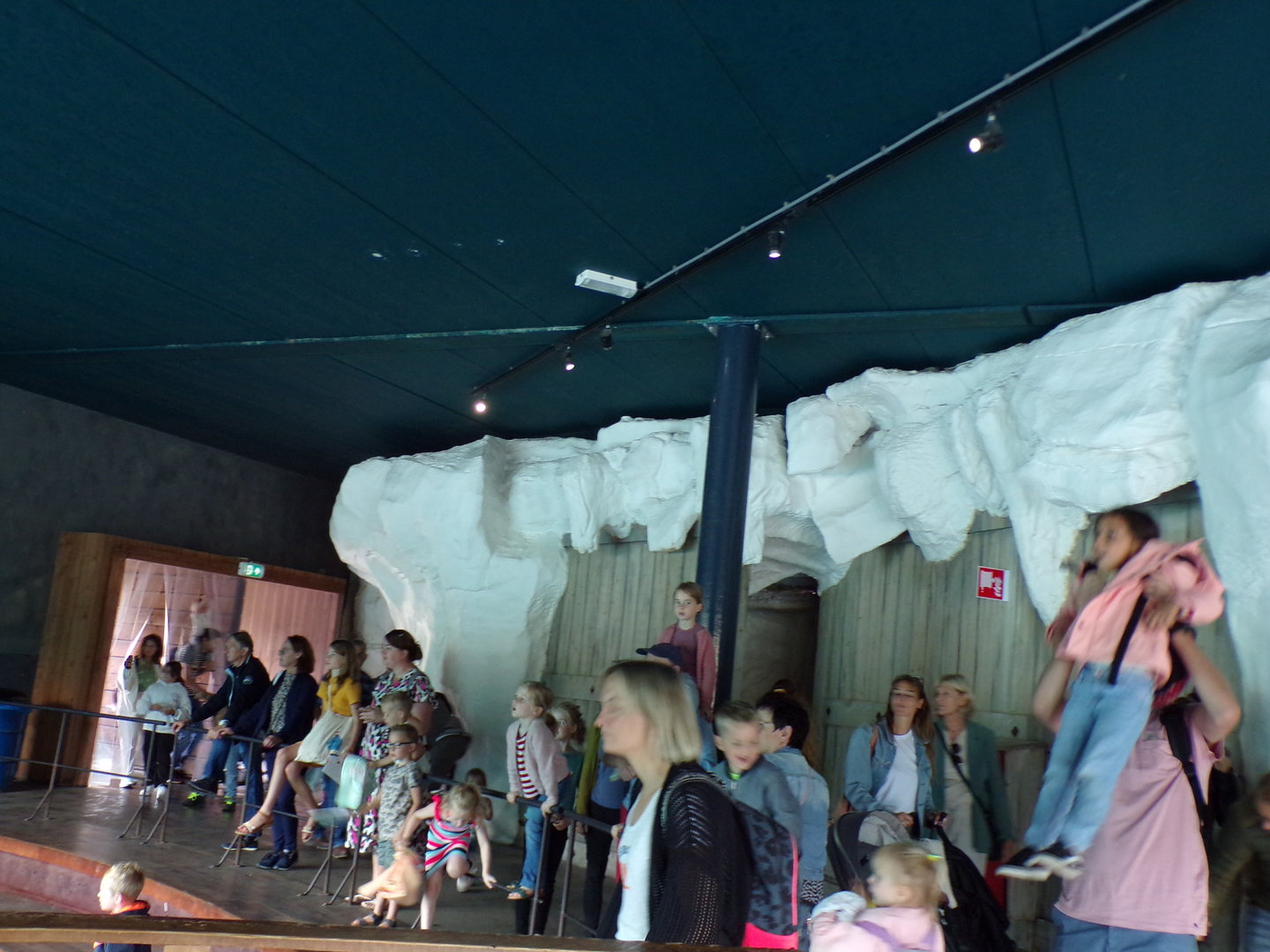 North Ameroca- Fake ice in Polar bear viewing area (with people for scale) 13.7.23