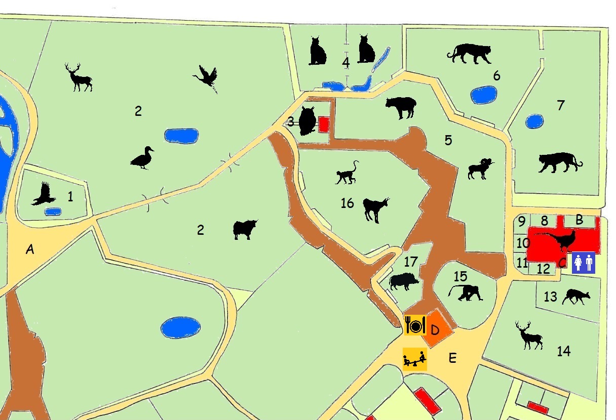 North Asian Zone - 2023 version