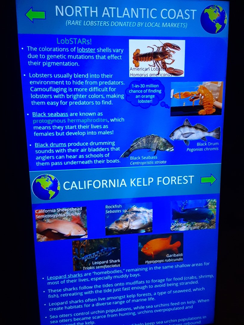 North Atlantic Coast/California Kelp Forest Signage