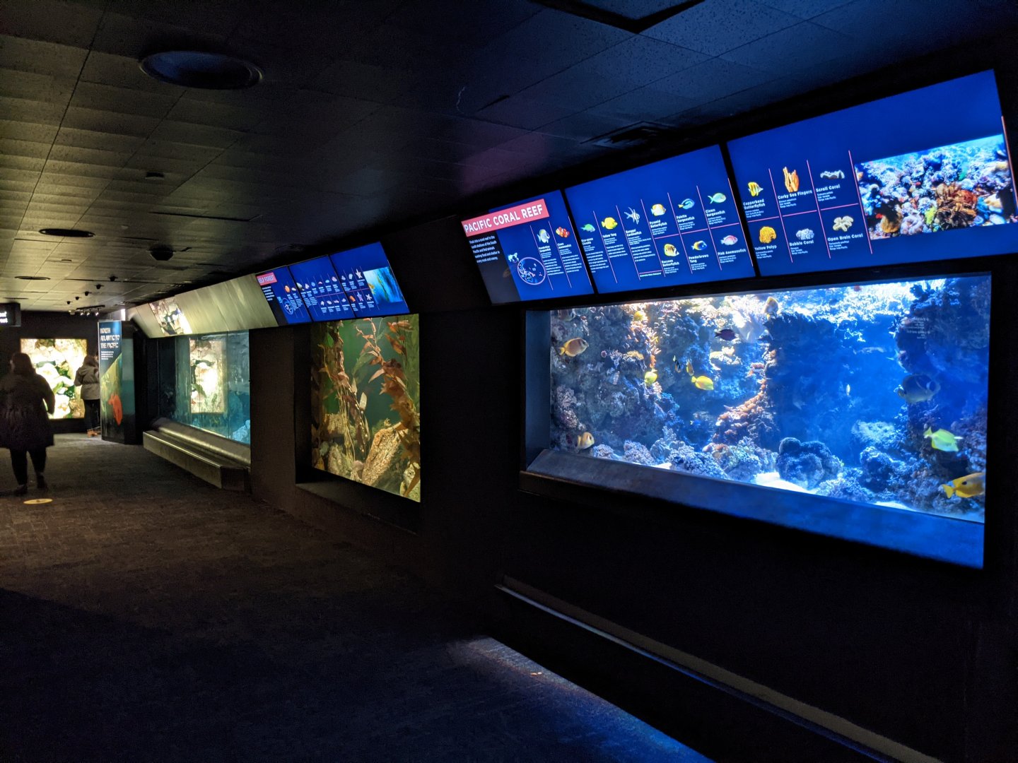 North Atlantic to the Pacific