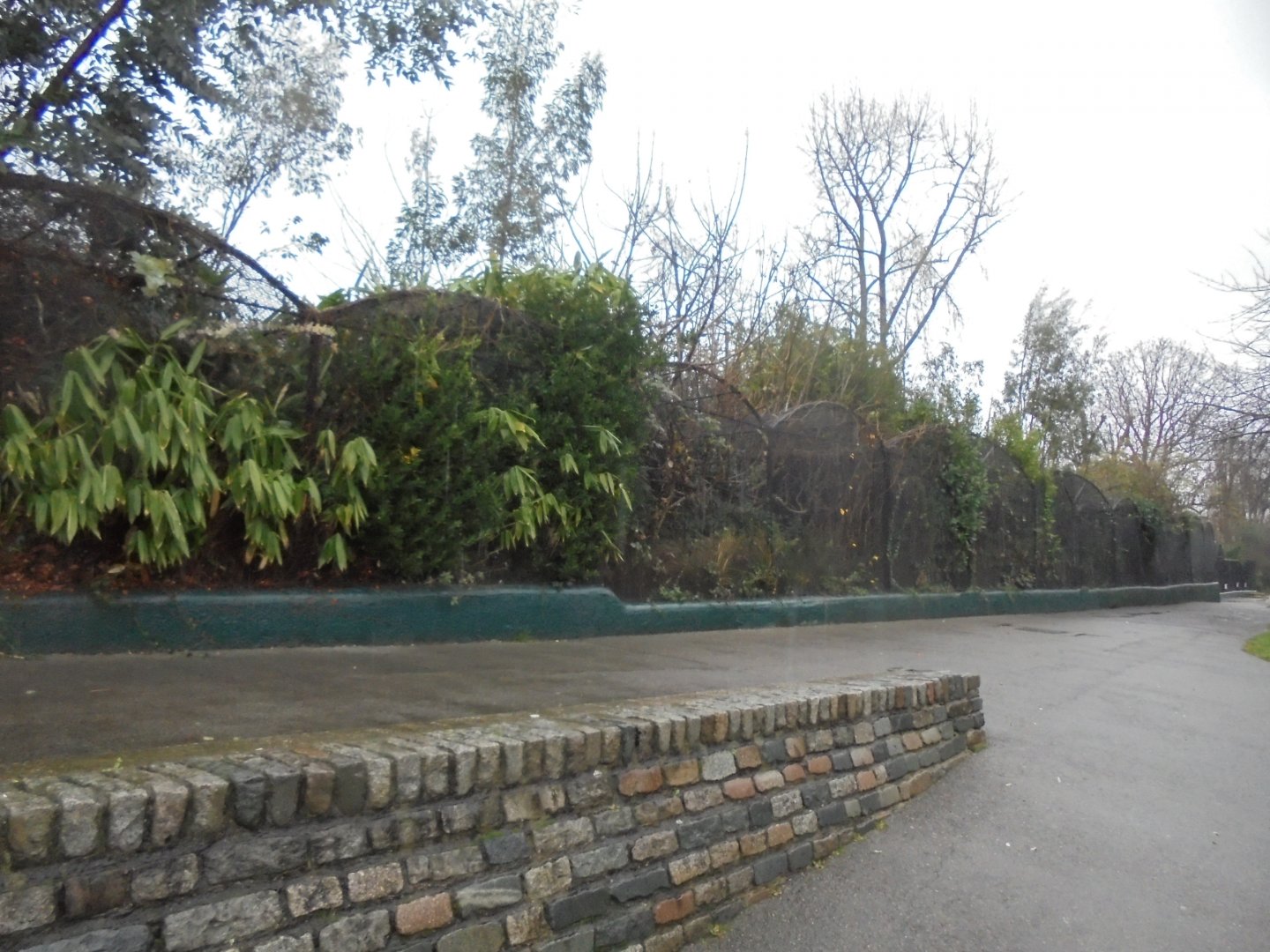 North Bank aviaries, rundown and empty.