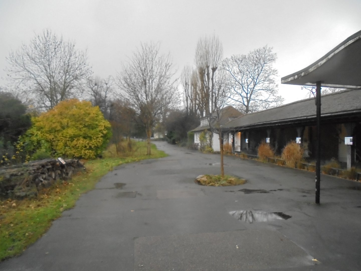 North Bank- looking pretty  derelict here.