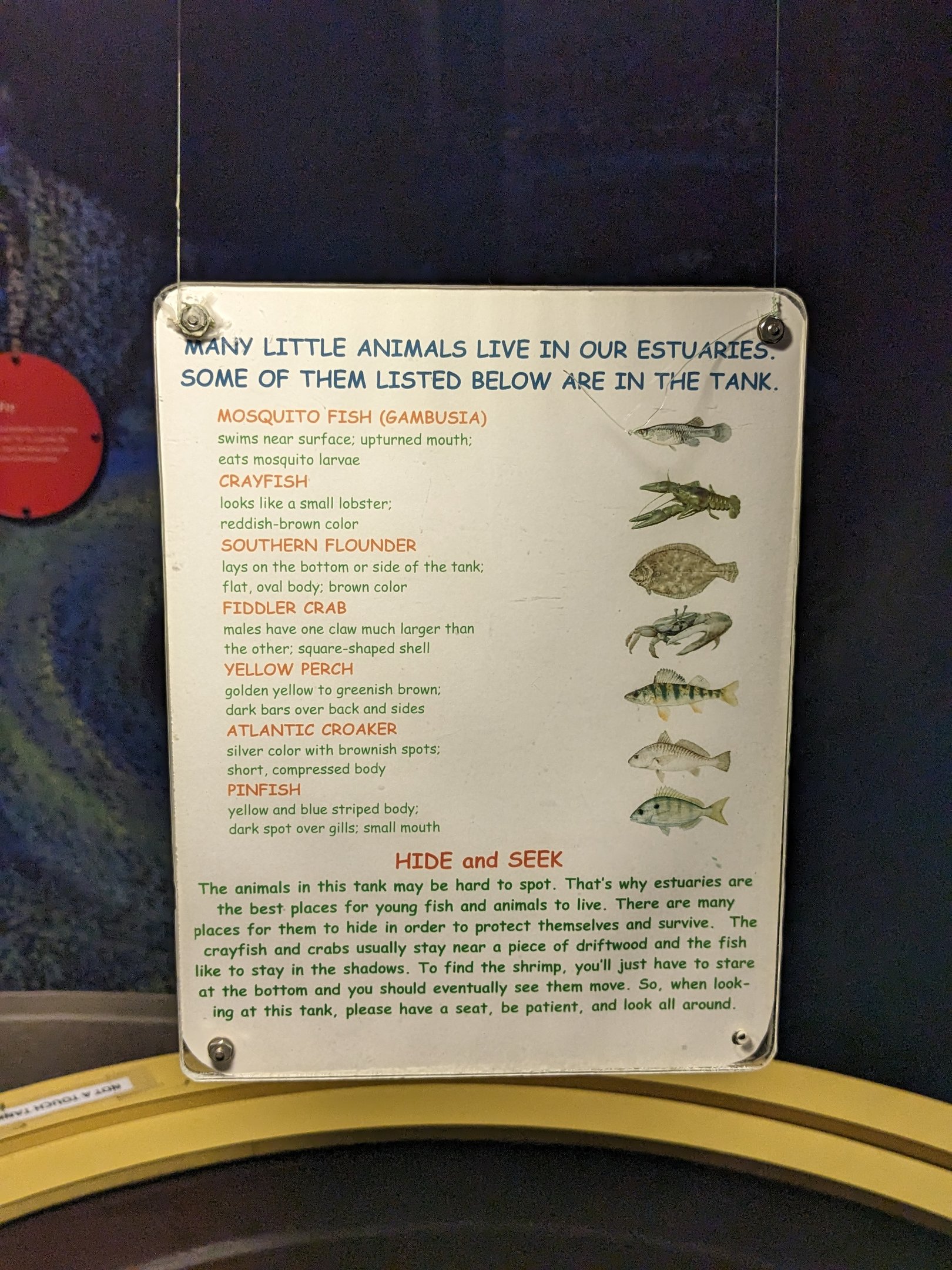 North Carolina Estuarium - estuary tank sign