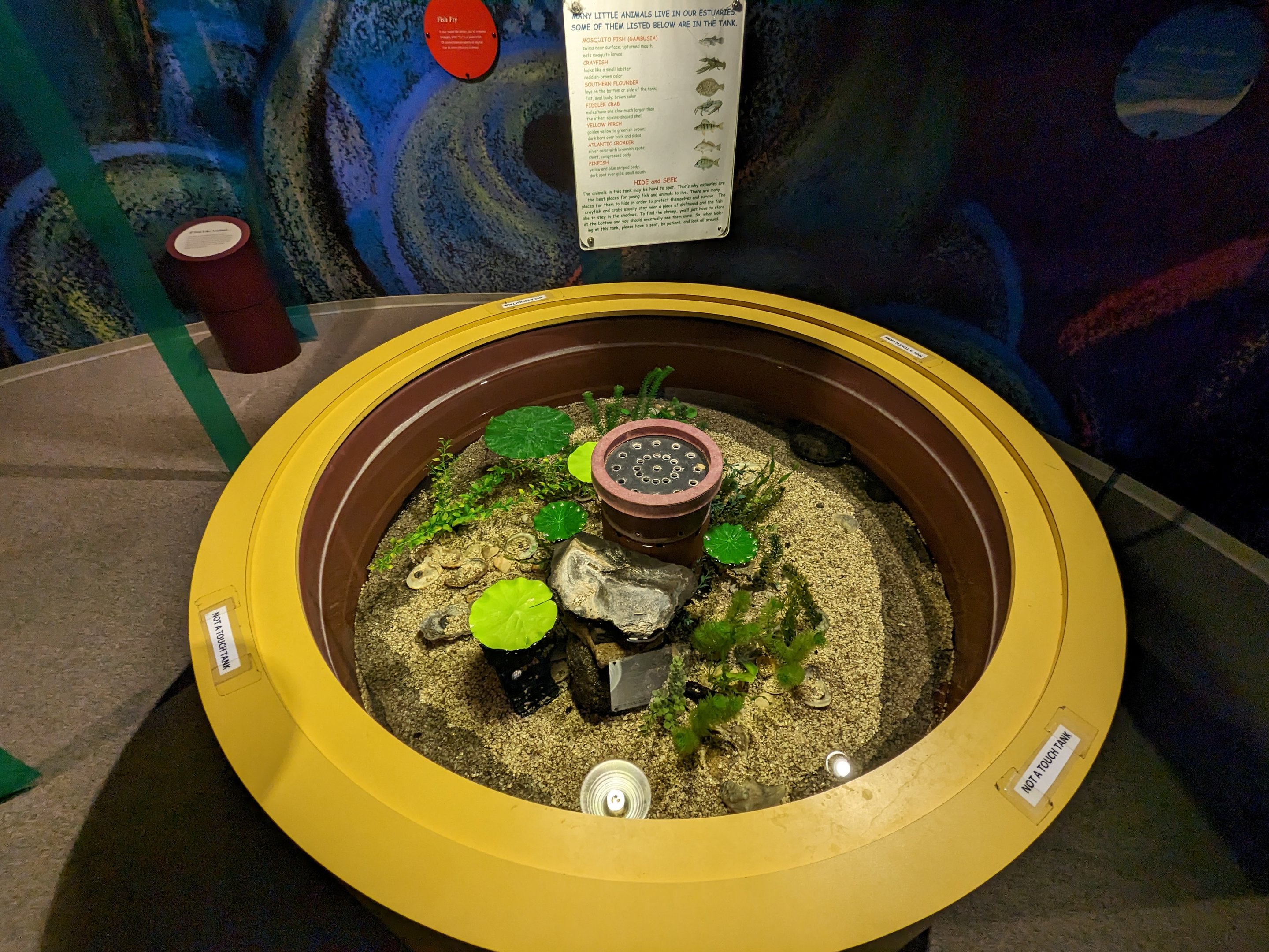 North Carolina Estuarium - estuary tank