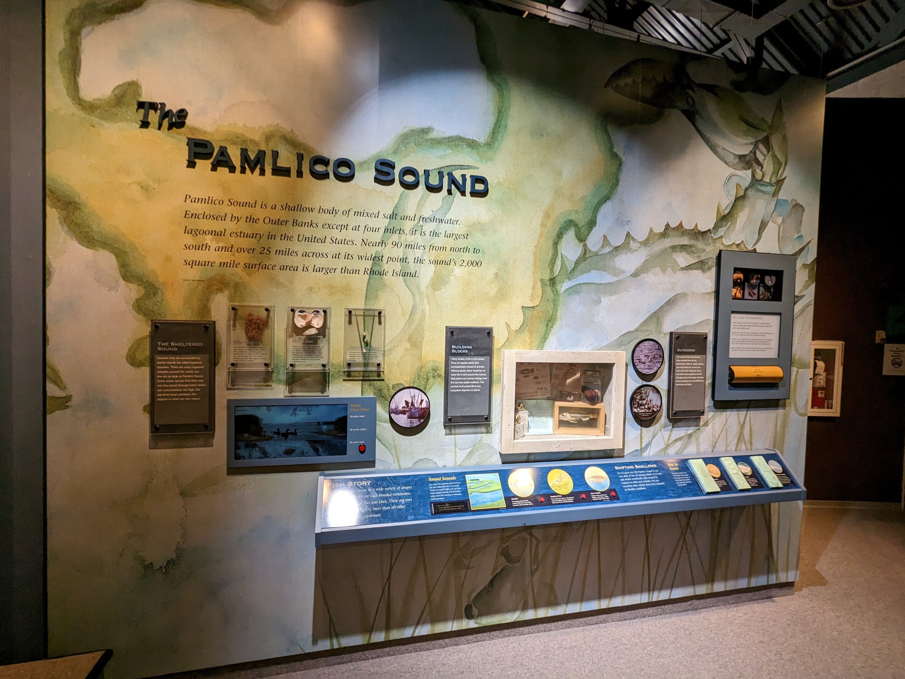 North Carolina Estuarium - Pamlico Sound display