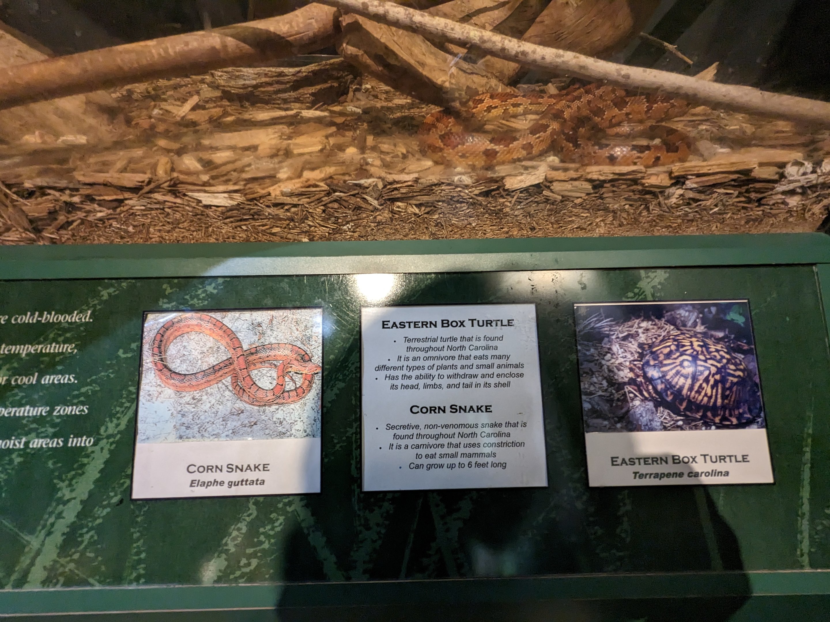 North Carolina Estuarium -Reptile tank sign